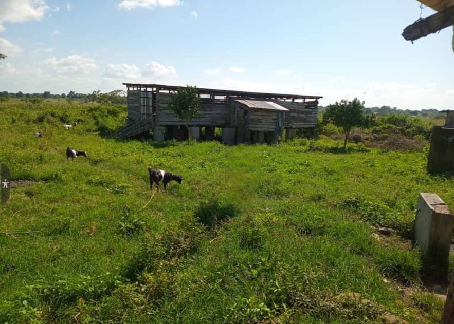 FARM LAND FOR SALE
