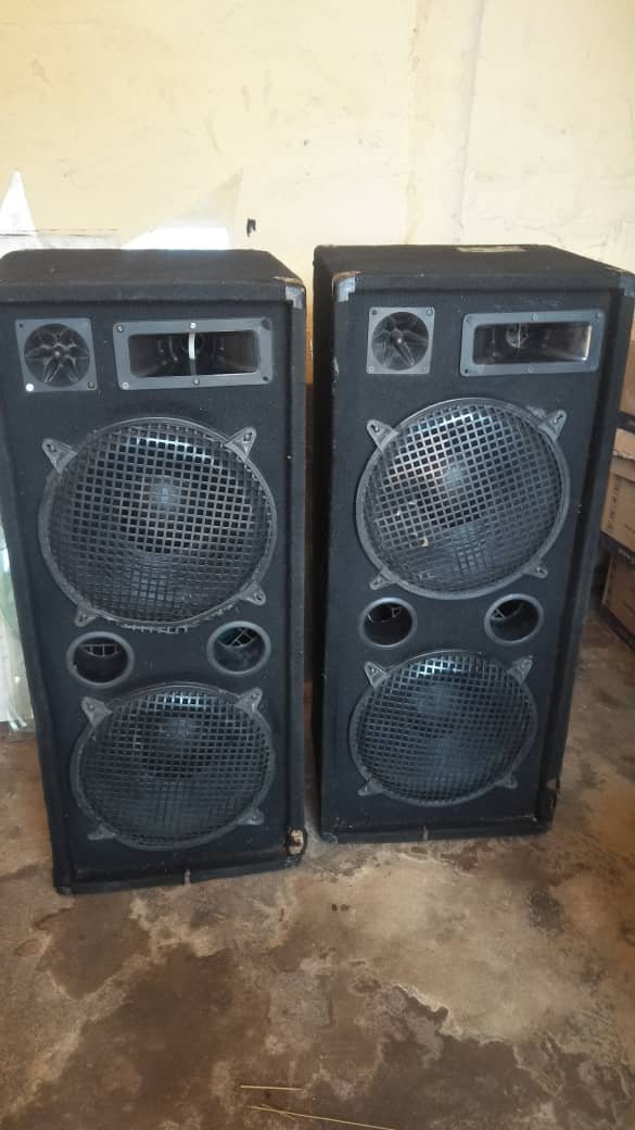 two Omnitronic DX-2222 column speakers