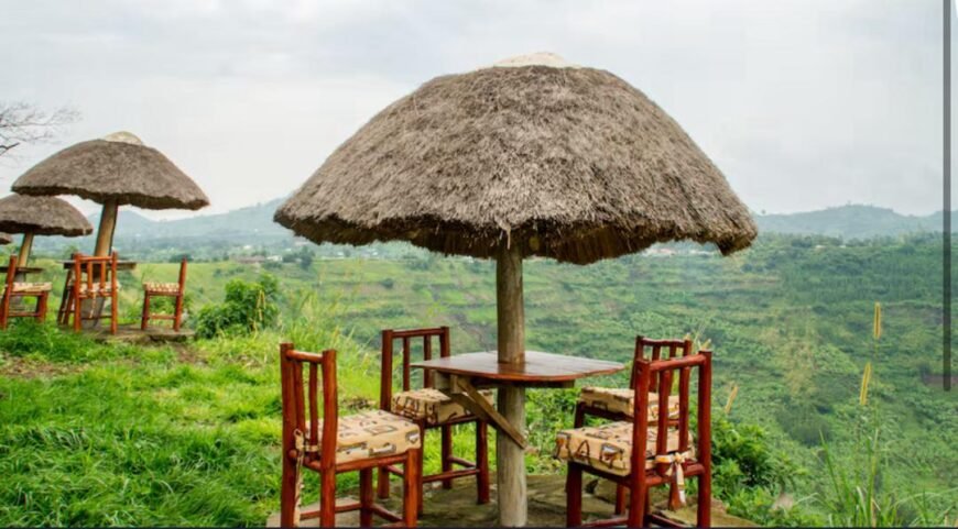 Park View Tourist Lodge (PVT)