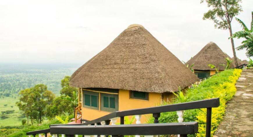 Park View Tourist Lodge (PVT)