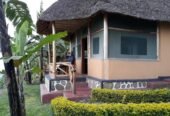 Park View Tourist Lodge (PVT)