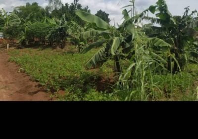 WhatsApp-Image-2025-05-02-at-16.21.19