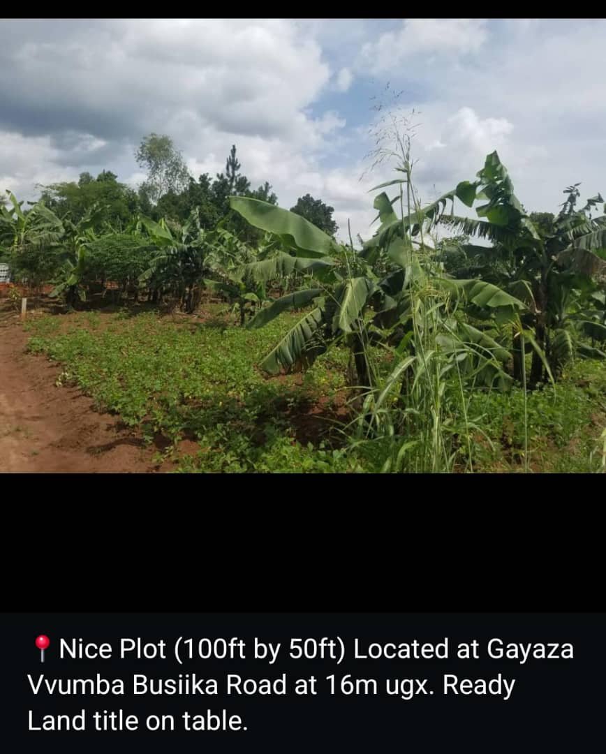 Gayaza Vvumba Busiika Road