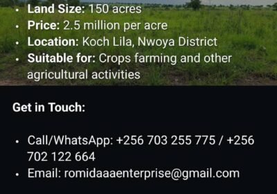 WhatsApp-Image-2025-05-02-at-18.31.16