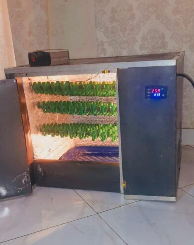INCUBATOR