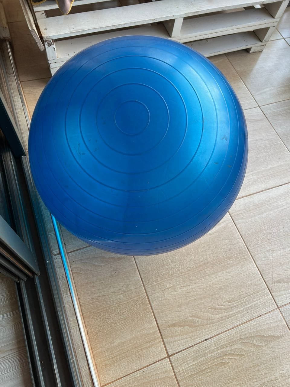 PREGNANCY EXERCISE BALL