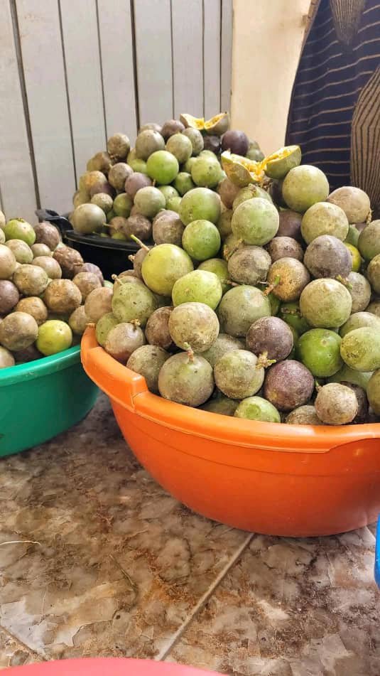 FRESH PASSION FRUITS