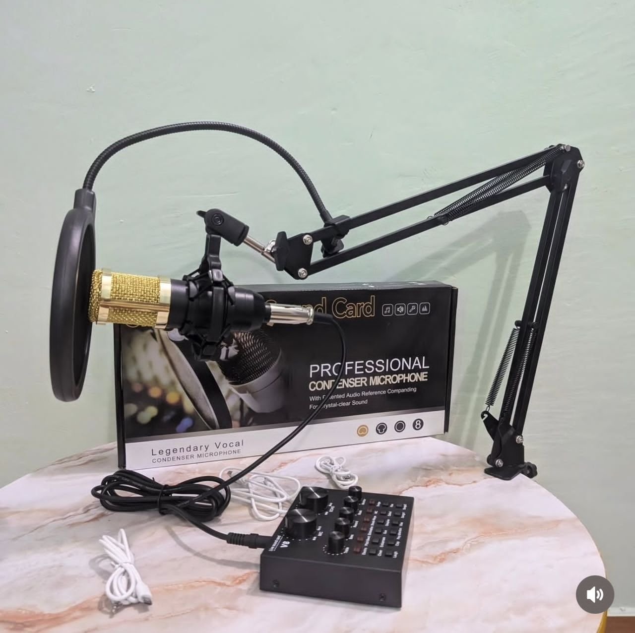 Professional Condenser Microphone Kit