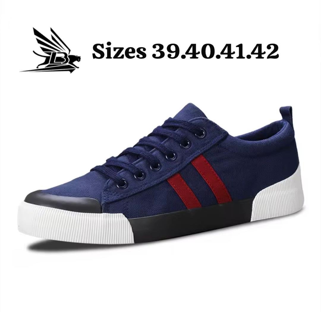 men’s navy blue low-top canvas sneakers,