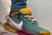 Nike Pegasus Trail 5 shoes.