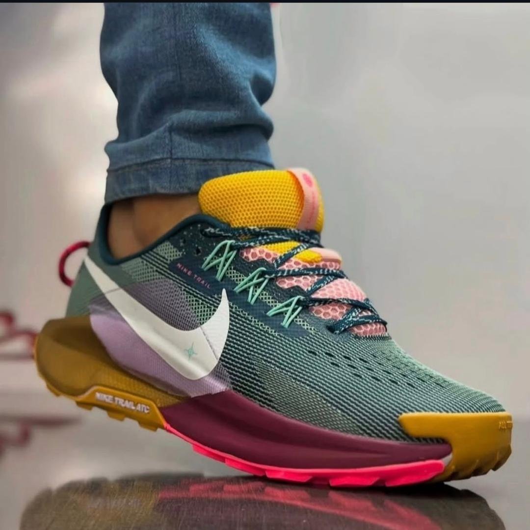 Nike Pegasus Trail 5 shoes.