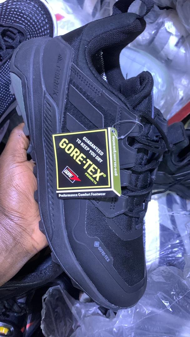 Adidas Terrex Gore-Tex hiking shoe