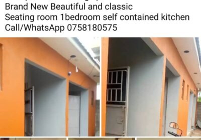 WhatsApp-Image-2025-10-06-at-09.47.04-1