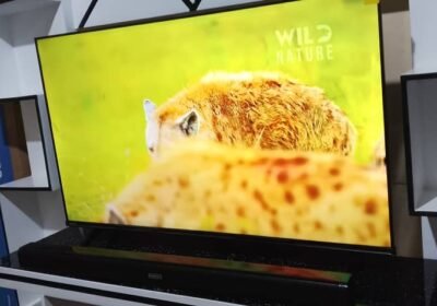 WhatsApp-Image-2025-10-08-at-15.27.45