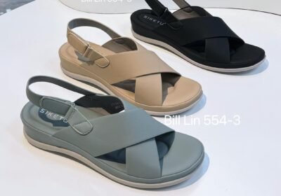 WhatsApp-Image-2025-10-14-at-08.27.42