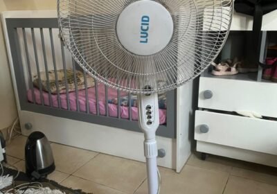 WhatsApp-Image-2025-10-14-at-15.54.18