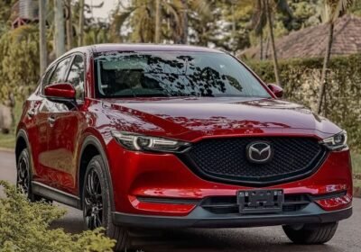 WhatsApp-Image-2025-10-17-at-23.17.13-1