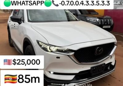 WhatsApp-Image-2025-10-17-at-23.17.17-2