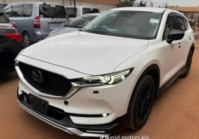 WhatsApp-Image-2025-10-17-at-23.17.17-3